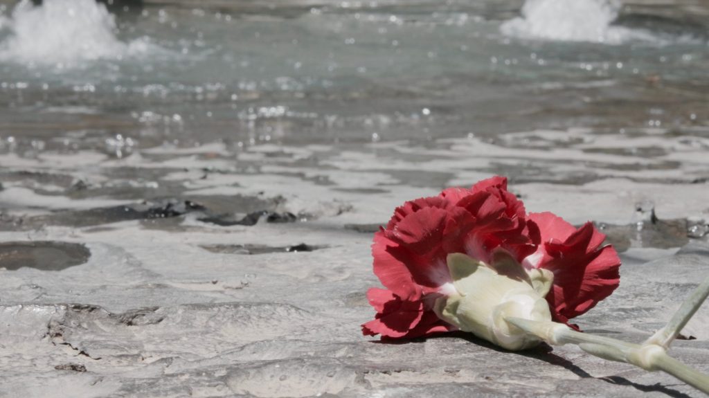 Una rosa en Sarajevo