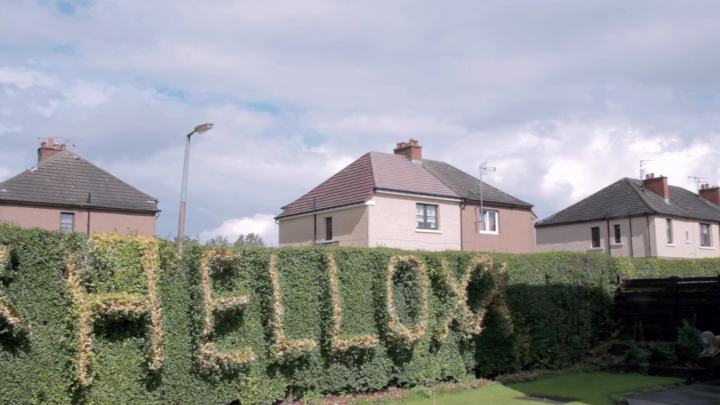  Un mensaje en los setos de Bonnybridge para los voladores visitantes.